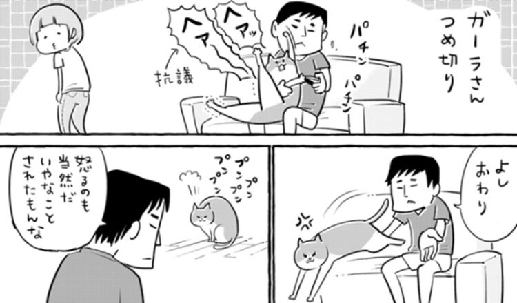 爪切りにご立腹な愛猫に飼い主が仕返し一発いいよと顔を差し出したその刹那！潔い一発がさく裂！でも結局素敵な関係性