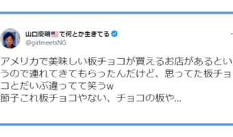 アメリカでおいしい板チョコが買える店に連れて行ってもらったら、「これ板チョコじゃなくてチョコの板」というツッコミに全日本人が同意！板チョコとは・・