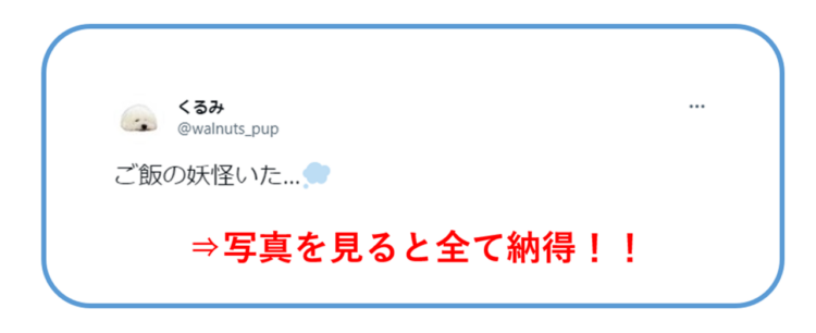 ”ご飯の妖怪”の写真が捉えられました！ビションフリーゼが”ご飯の妖怪”に変身？写真を見ると確かに納得！