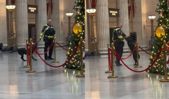 普段は冷静な警察犬もクリスマスプレゼントに大はしゃぎ！とってもかわいい映像が世界で話題