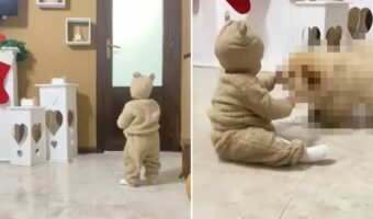 パパの帰りをドアの前で待つ赤ちゃん。モコモコの服を着てぬいぐるみのようなこの子の前に現れたのは・・!!【海外・動画】