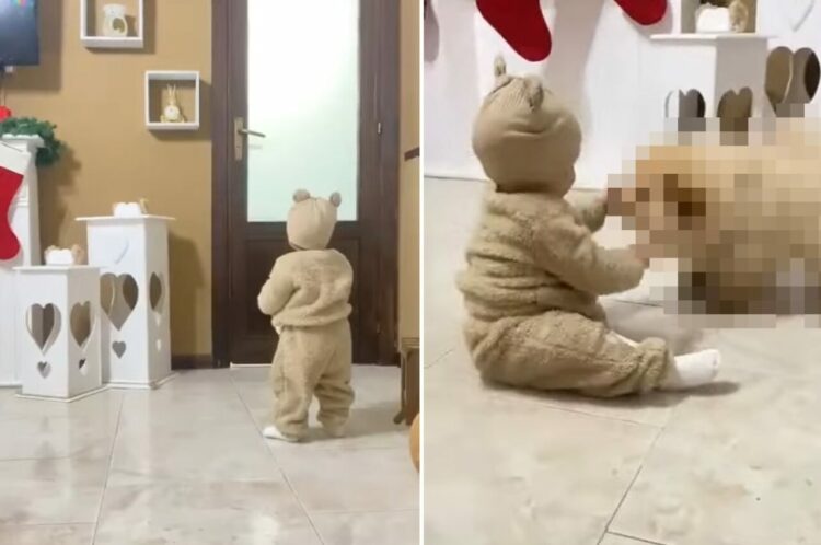 パパの帰りをドアの前で待つ赤ちゃん。モコモコの服を着てぬいぐるみのようなこの子の前に現れたのは・・！！【海外・動画】
