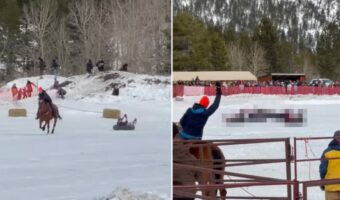 男性の乗るチューブを曳いて雪上を駆けていく馬。実はこれ、オリンピックでも人気の『あの競技』を行っているところでした!!【海外・動画】