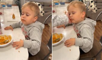 お昼寝も忘れていとこと楽しく遊んだ男の子。夕食の時間にはもう眠気に抗えなくなったみたい【アメリカ・動画】