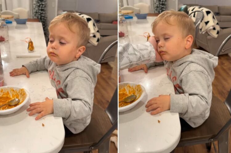 お昼寝も忘れていとこと楽しく遊んだ男の子。夕食の時間にはもう眠気に抗えなくなったみたい【アメリカ・動画】