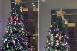 クリスマスツリーにのぼった子猫。この子はひときわ輝く『あのアイテム』にが気になるようで・・【アメリカ・動画】