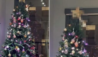 クリスマスツリーにのぼった子猫。この子はひときわ輝く『あのアイテム』にが気になるようで・・【アメリカ・動画】