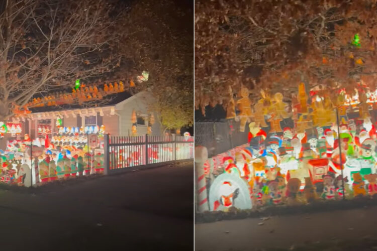 足の踏み場もない！？クリスマスのホームイルミネーションがびっしり過ぎてなんだかスゴすぎる！！【アメリカ・動画】