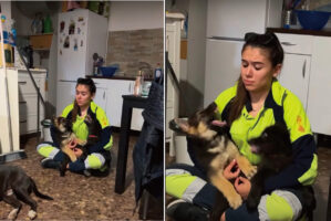 子犬たちはママさんが大好き！抱っこしてくれているママさんをめぐって、お膝の上で勝負中？【海外・動画】