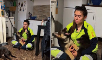 子犬たちはママさんが大好き!抱っこしてくれているママさんをめぐって、お膝の上で勝負中?【海外・動画】