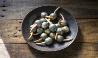 「めが出る」縁起物としておせちに必須とされてきた「くわい」とはどんな食べ物?野菜の一種なの?