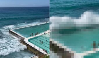 ギャップがスゴい!海に近いリゾートプールかと思ったら・・、まさかのワイルドなプールでした!!【海外・動画】