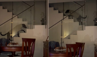 抜き足差し足忍び足、愛犬は飼い主さんたちがテレビに夢中になっている隙に2階に忍び込むつもりのようですが・・、しっかりバレていますね