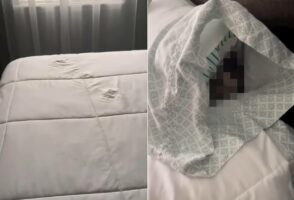 キレイに敷かれたシーツに小さな足跡が！その後を追っていくと・・意外な場所に足跡の主の姿がありました！！