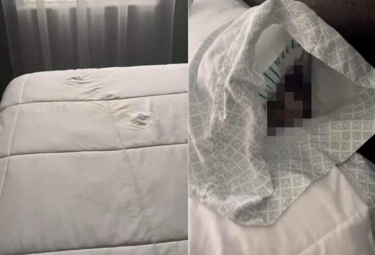 キレイに敷かれたシーツに小さな足跡が！その後を追っていくと・・意外な場所に足跡の主の姿がありました！！