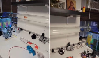 熱帯魚たちが右の水槽と左の水槽をスイスイと。自由に移動しながら泳ぎ回っています!!