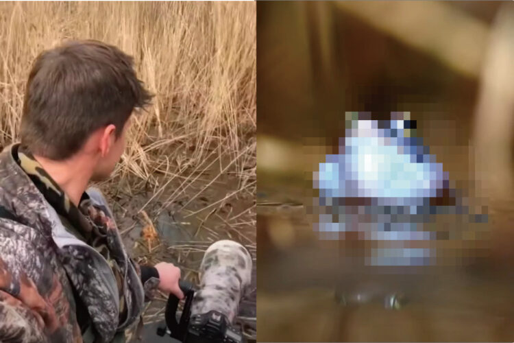 なにもない沼地かと思いきや、4時間粘った結果・・、すごくキレイな生き物の姿が撮れました！！