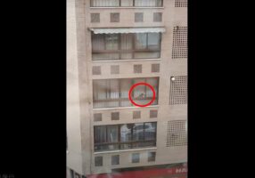 ビルの窓より外を歩く猫を発見！その様子を見守っていると・・・【海外・動画】