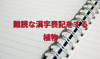 読めたらすごい！珍しい漢字表記をする難読な植物の名前！