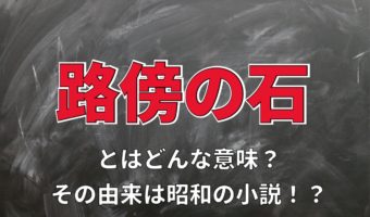 「路傍の石」とはどんな意味?どのような石のことを指すの?「他山の石」との違いは?