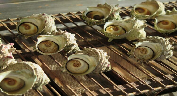 「サザエ」の旬はいつ？どんな貝なの？