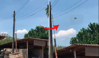 よく晴れた平和な日の光景だと思ったら!?電線をよく見たらビックリです!!