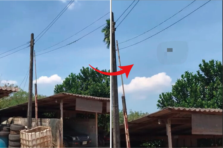 よく晴れた平和な日の光景だと思ったら！？電線をよく見たらビックリです！！