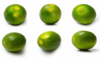 薬味や柚子湯に用いられる「柚子」、その旬や開花時期はいつ？