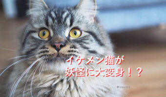 愛猫の写真を撮ったら妖怪みたいなの撮れた！まるでRPGゲームでモンスターに遭遇した瞬間のよう