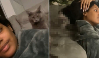 お疲れの飼い主さんを労ってる?愛猫が小さな前足を駆使して極上のふみふみマッサージをしてくれました!!【アメリカ・動画】