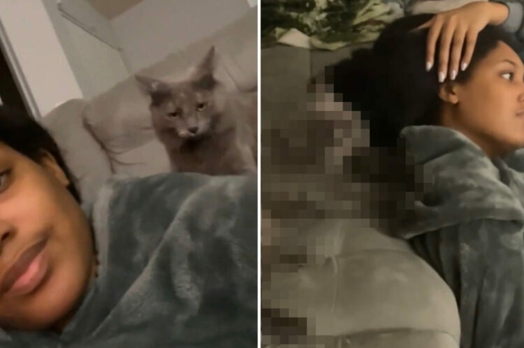 お疲れの飼い主さんを労ってる？愛猫が小さな前足を駆使して極上のふみふみマッサージをしてくれました！！【アメリカ・動画】