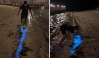 ビーチを歩く男性の足元が青く輝いている！？砂が鮮やかに発光する不思議な現象の理由とは！？【海外・動画】