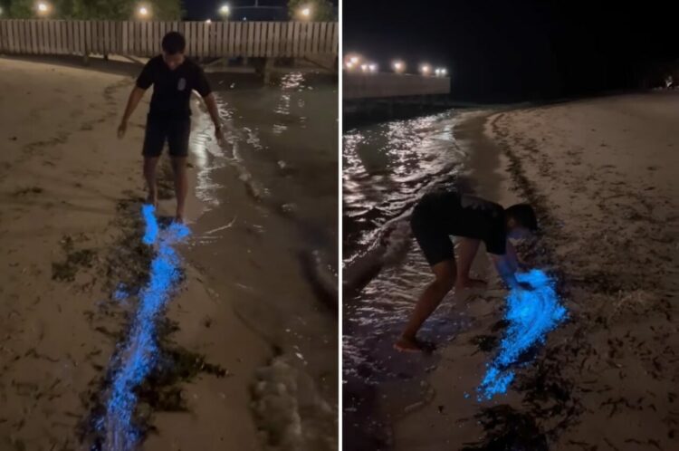 ビーチを歩く男性の足元が青く輝いている！？砂が鮮やかに発光する不思議な現象の理由とは！？【海外・動画】