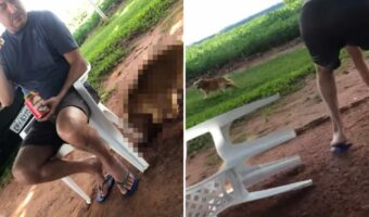 これ、狙ってやったイタズラでしょ!椅子に腰かけて雑談する男性の足元で穴掘りをする犬。その結果・・!!【海外・動画】