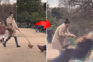 飼い主さんもビックリ！公園をお散歩していた小柄な犬が、見ず知らずの人に向かって驚きの行動を取ったのです！！【海外・動画】