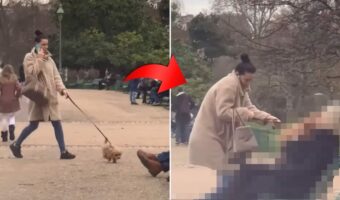 飼い主さんもビックリ!公園をお散歩していた小柄な犬が、見ず知らずの人に向かって驚きの行動を取ったのです!!【海外・動画】