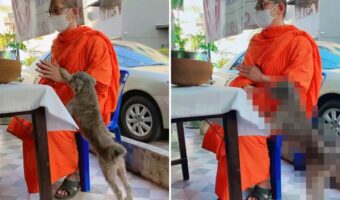 これは厳しい修行になりそうだ。読経中のお坊さんの足元に犬が！かまってあげるわけにもいかなそうですが、犬もある目的があるので離れません！！