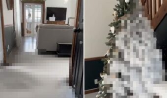 一体何が・・。2日ぶりに帰宅したら家の中が大変なことに！！家中すっかり真っ白になっていたのです！！【海外・動画】