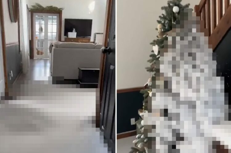 一体何が・・。2日ぶりに帰宅したら家の中が大変なことに！！家中すっかり真っ白になっていたのです！！【海外・動画】