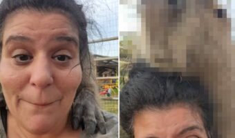動物界のレオ様!?女性に名前を呼ばれて「こんにちは~」と姿を見せたその動物の名前は、レオナルド・ディカプリオならぬ・・