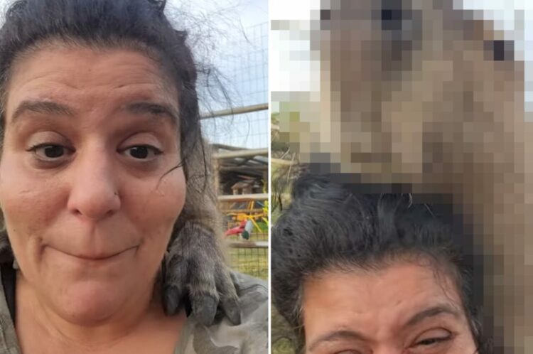 動物界のレオ様！？女性に名前を呼ばれて「こんにちは～」と姿を見せたその動物の名前は、レオナルド・ディカプリオならぬ・・