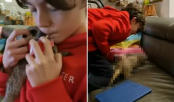 ミーアキャットが男の子に甘えてる!と思いきや・・、この子はとんでもないイタズラっ子だったのです!!【海外・動画】