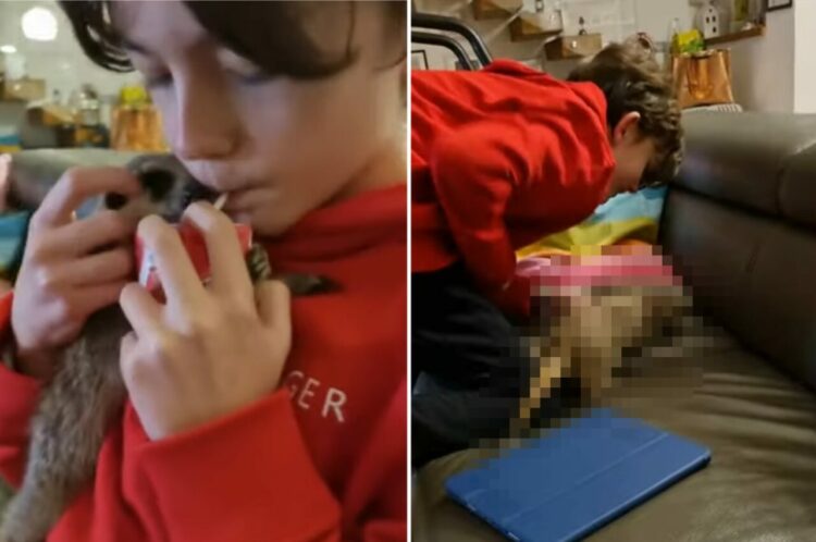 ミーアキャットが男の子に甘えてる！と思いきや・・、この子はとんでもないイタズラっ子だったのです！！【海外・動画】