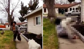 あわや一大事！家具を運び出そうとした隙を突いて脱走を図る2匹の愛犬。道路に飛び出してしまい危ないと、慌てた飼い主さんは・・！？