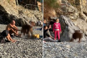 この犬コミュニケーション能力高すぎる！ビーチでいろんな人に「ねぇ、一緒に遊ぼうよ」と誘いかけています！！【海外・動画】