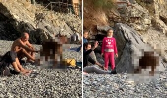 この犬コミュニケーション能力高すぎる！ビーチでいろんな人に「ねぇ、一緒に遊ぼうよ」と誘いかけています！！【海外・動画】