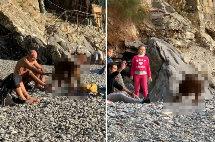 この犬コミュニケーション能力高すぎる！ビーチでいろんな人に「ねぇ、一緒に遊ぼうよ」と誘いかけています！！【海外・動画】