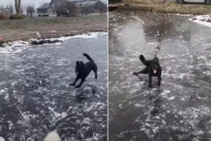 見事な走りっぷり！元気な子犬が氷の上を走る！走る！！滑って進むのではなく元気に駆けています