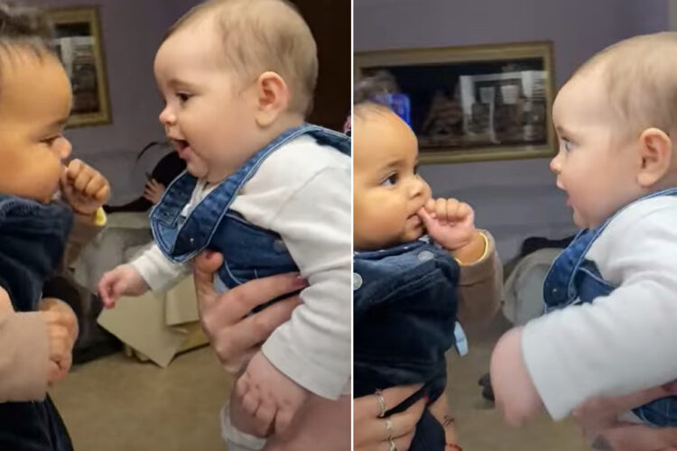 ママたちに抱っこされたまま挨拶する赤ちゃんたち。まるで大人には伝わらない方法で会話しているかのようなその姿がかわいすぎる！！