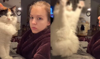 「これが好きなんでしょ？」愛猫はふと飼い主さんが大好きな『ある仕草』を目の前で披露してくれていました！もちろん飼い主さんは大喜び！！